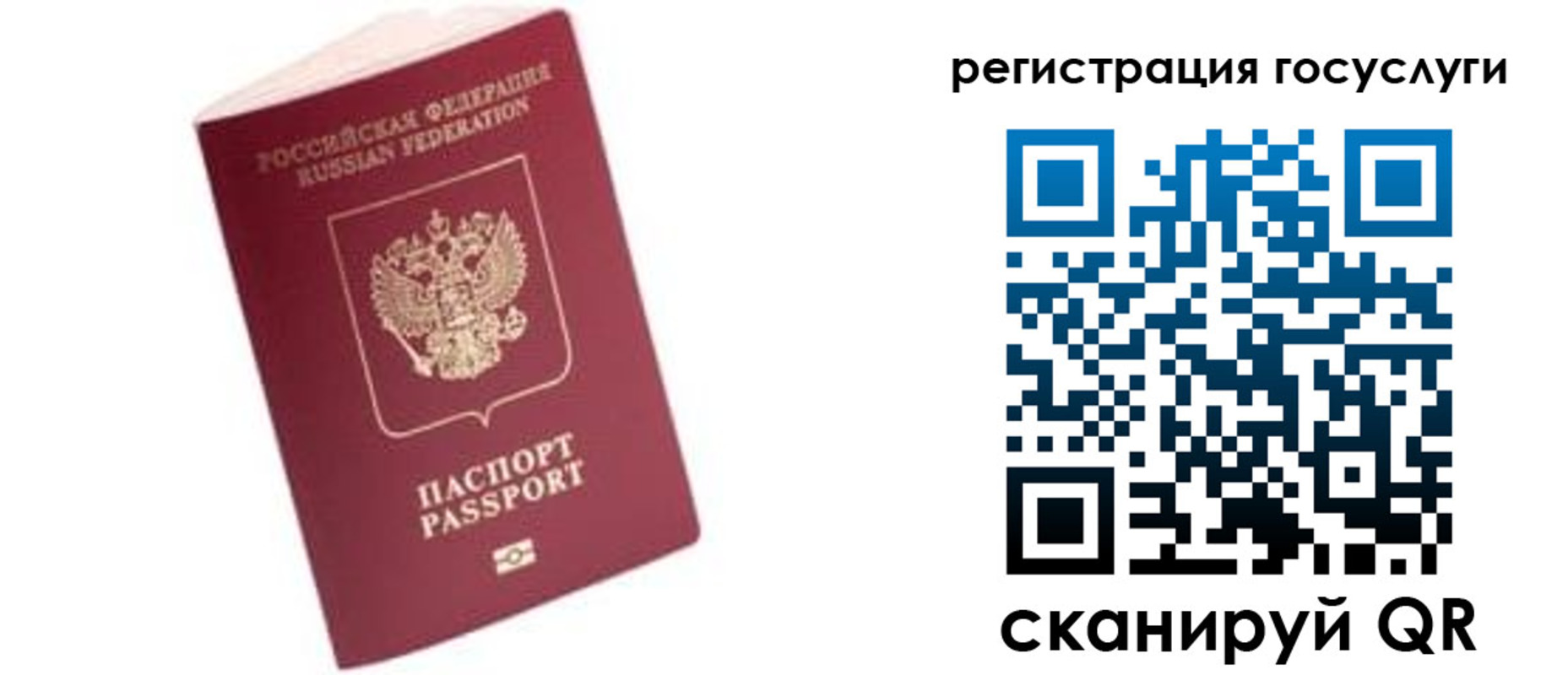 прописка поиск в Алексеевке